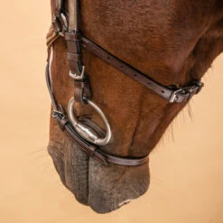Horse Riding Crossed-Noseband Leather Bridle For Horse And Pony 580 31 Horse Riding Crossed-Noseband Leather Bridle For Horse And Pony 580 -Horse Riding Equipment Store k867776eb581f815ff40a6cca29beda9d