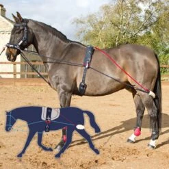 JOHN WHITAKER TRAINING SYSTEM -Horse Riding Equipment Store k881a63f2fa3c53972895f5eb05479c2f