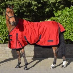 Rastrick 100g Lightweight Turnout Rug -Horse Riding Equipment Store k883ef03aa6d60dd127beb458b50beaa6