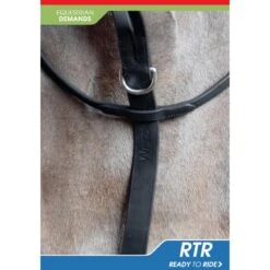 Ready To Ride Martingale 7 Ready To Ride Martingale -Horse Riding Equipment Store k8a086ad4dd7e7b8a81efa1173cce8696