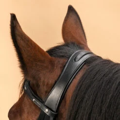 Horse Riding Crossed-Noseband Leather Bridle For Horse And Pony 580 21 Horse Riding Crossed-Noseband Leather Bridle For Horse And Pony 580 -Horse Riding Equipment Store k8c45e09ceefa6265ccbafd59d10f34e9