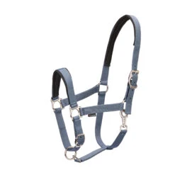 Horse Riding Equipment Store -Horse Riding Equipment Store k8c58840d4cbd3a338ae5f51b9e7ccbaa