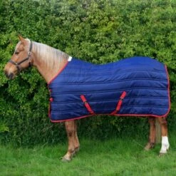 Thomas 250G Stable Rug