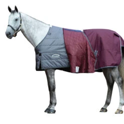 Weatherbeeta Comfitec Plus Dynamic II Combo Neck Midweight Horse Turnout Rug 7 Weatherbeeta Comfitec Plus Dynamic II Combo Neck Midweight Horse Turnout Rug -Horse Riding Equipment Store k8febb1f0e9b87c245eb5e9da09b6fdab