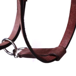 Trail Horse Riding Bridle / Halter And Reins Escape - Brown -Horse Riding Equipment Store k9473251440898b6b9b71f0a4559d5d19