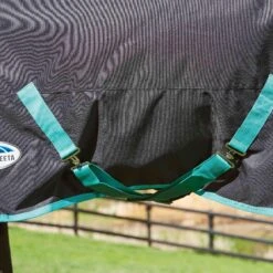 Weatherbeeta GreenTec Detachable Neck Midweight Horse Turnout Rug (Black/Bottle Green) 7 Weatherbeeta GreenTec Detachable Neck Midweight Horse Turnout Rug (Black/Bottle Green) -Horse Riding Equipment Store k95d9c16e507ed90ae9510a8b4f1b5ad8