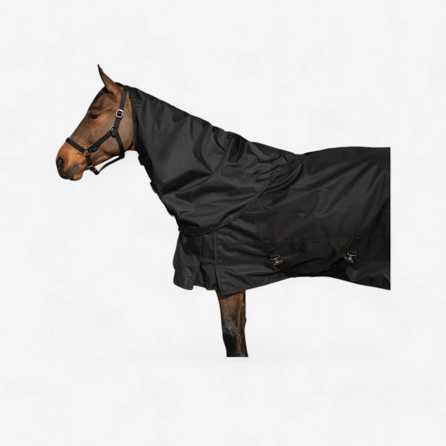 Horse Riding Waterproof Neck Cover Allweather Light 1 Horse Riding Waterproof Neck Cover Allweather Light