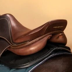 Horse And Pony Saddle Pad 500 15 Horse And Pony Saddle Pad 500 -Horse Riding Equipment Store k98fd543ad443b6b7756574daf2518ab3