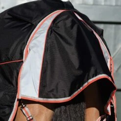 Weatherbeeta Comfitec Premier Therapy Tec Detachable Neck Horse Turnout Rug -Horse Riding Equipment Store ka1d26b2665f492e5cacae6527c6de5be