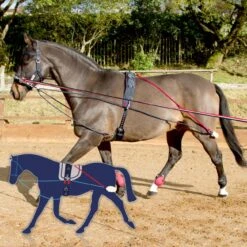 JOHN WHITAKER TRAINING SYSTEM -Horse Riding Equipment Store ka38ca17b64f67e579e71c4e9d49e92d3