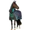 Weatherbeeta GreenTec Detachable Neck Heavyweight Horse Turnout Rug (Black/Bottle Green)