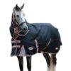 Weatherbeeta Comfitec Premier Plus Detachable Neck TherapyTec Lightweight Horse Turnout Rug