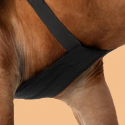 Horse Riding Shoulder Guard For Horse & Pony -Horse Riding Equipment Store kb229e4268fece8c0278de78334d846af