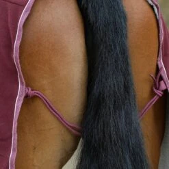 Weatherbeeta StandardNeck Sherpa Fleece Horse Cooler Rug (Maroon/White) 10 Weatherbeeta StandardNeck Sherpa Fleece Horse Cooler Rug (Maroon/White) -Horse Riding Equipment Store kb31b8102e3c88c079802415a76c208bb