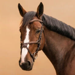Horse Riding Crossed-Noseband Leather Bridle For Horse And Pony 580 25 Horse Riding Crossed-Noseband Leather Bridle For Horse And Pony 580 -Horse Riding Equipment Store kb739e3538586e672964b0a1550e1440c