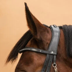 Horse Riding Crossed-Noseband Leather Bridle For Horse And Pony 580 20 Horse Riding Crossed-Noseband Leather Bridle For Horse And Pony 580 -Horse Riding Equipment Store kb80242afe7c03490b619adf4f3e149f6