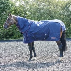Rastrick 250G Combo Turnout Rug 8 Rastrick 250G Combo Turnout Rug -Horse Riding Equipment Store kbbb3f6b94d98c701bb96dd85708e59b3