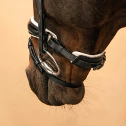 Horse & Pony Dressage Bridle 900 -Horse Riding Equipment Store kbe41bda51658bc0984bd802e65e454a2