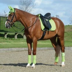 Weatherbeeta Prime Horse Dressage Saddlepad (Lime Green) -Horse Riding Equipment Store kc481211f0da82e07fc475544061ddd59