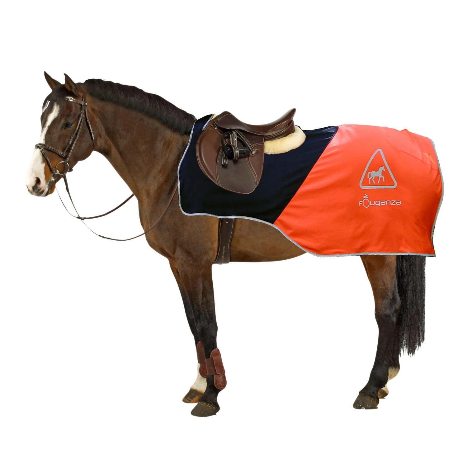 Horse Riding Exercise Rug 1 Horse Riding Exercise Rug