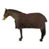 Horse Riding Waterproof Turnout Sheet For Horse & Pony Allweather Light