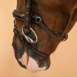 Horse Riding Leather Bridle With French Noseband 580 32 Horse Riding Leather Bridle With French Noseband 580 -Horse Riding Equipment Store kc822917de402211203fa263cdec3974b