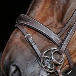 Chicago Breathable Leather Bridle -Horse Riding Equipment Store kc94deefdd6ee5ada7202132c3d321f28