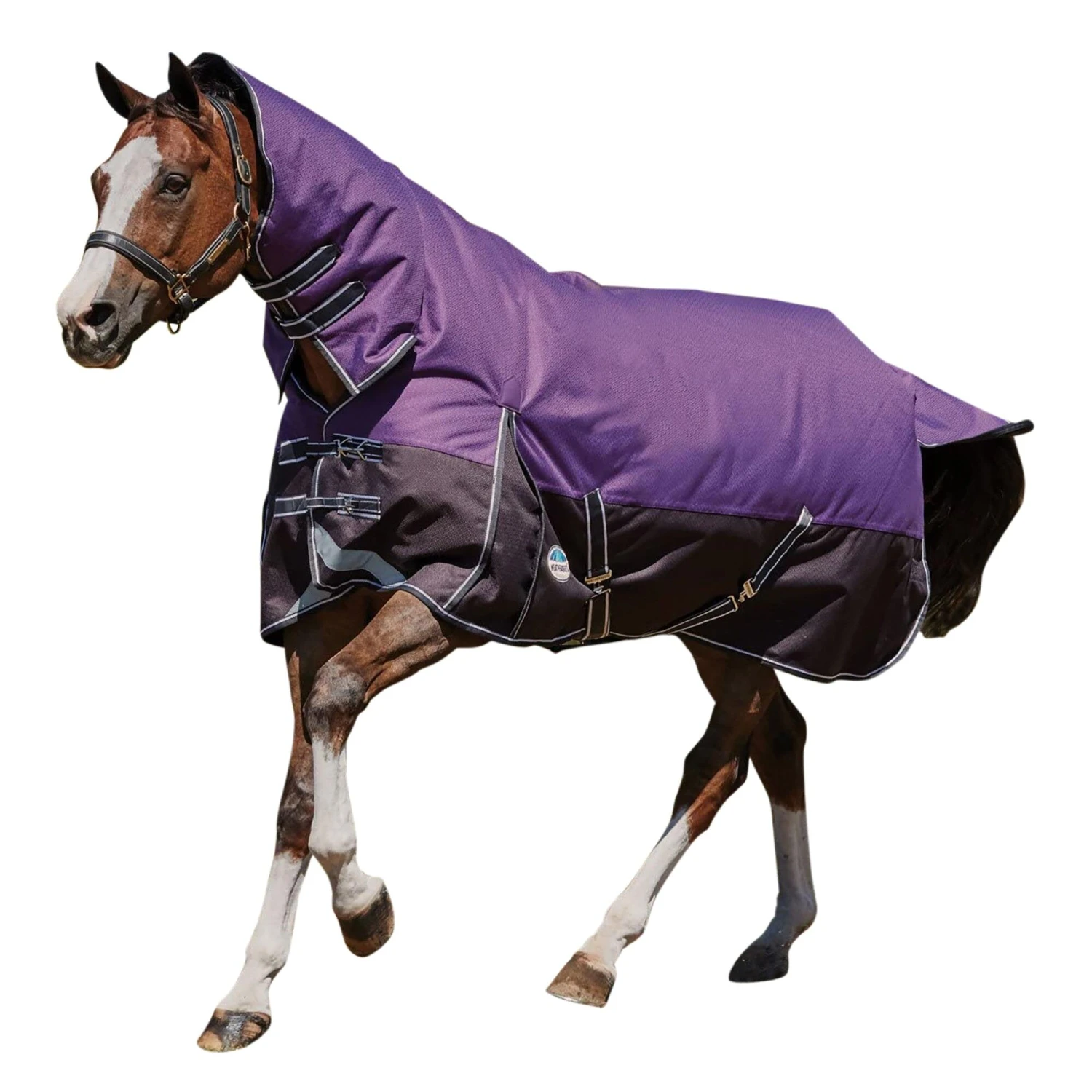 Weatherbeeta Comfitec Plus Lite Dynamic Combo Neck Turnout Rug (Purple/Black) 1 Weatherbeeta Comfitec Plus Lite Dynamic Combo Neck Turnout Rug (Purple/Black)