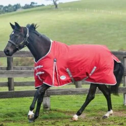 Weatherbeeta Comfitec Classic Medium Lite StandardNeck Horse Turnout Rug (Red/Silver) 5 Weatherbeeta Comfitec Classic Medium Lite StandardNeck Horse Turnout Rug (Red/Silver) -Horse Riding Equipment Store kcda4bcc72fa72636a9006d3ae8808bb4