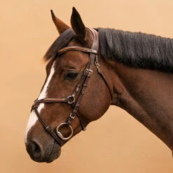 Horse Riding Crossed-Noseband Leather Bridle For Horse And Pony 580 24 Horse Riding Crossed-Noseband Leather Bridle For Horse And Pony 580 -Horse Riding Equipment Store kcedc9b5acc7ed68bee403a7fce9b3ac2