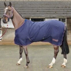 Rastrick Multipurpose Summer Sheet 6 Rastrick Multipurpose Summer Sheet -Horse Riding Equipment Store kd3fdbd5d046e0022610562e39e274181