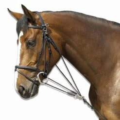 Horse Riding Schooling Gogue For Pony 22 Horse Riding Schooling Gogue For Pony -Horse Riding Equipment Store kd55f52b7e71f644fe43ece10e5c9f22b