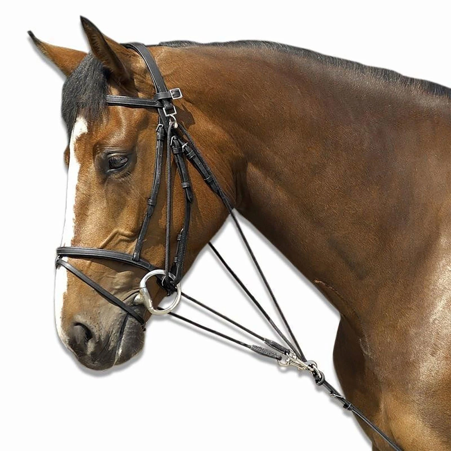 Horse Riding Schooling Gogue For Pony 8 Horse Riding Schooling Gogue For Pony - Image 8