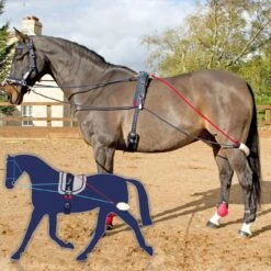 Horse Riding Equipment Store -Horse Riding Equipment Store kd59c9b4cf7b7048f849b104ab30c30fa