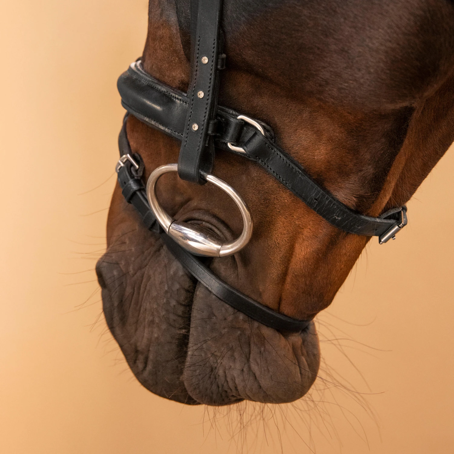 Horse Riding Leather Bridle With French Noseband 580 7 Horse Riding Leather Bridle With French Noseband 580 - Image 7