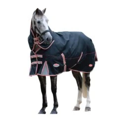 Weatherbeeta Comfitec Premier Therapy Tec Detachaneck Medium Turnout Rug (Black/Silver/Red)