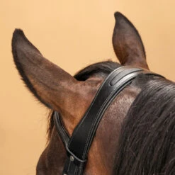 Horse Riding Glossy Leather Bridle With French Noseband For Horse & Pony 580 -Horse Riding Equipment Store kdadcc8e1067f3a913bfe97e0f9eba293