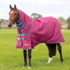 Highlander Original StandardNeck 300g Horse Turnout Rug & Neck Cover (Raspberry)