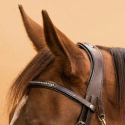 Horse Riding Leather Bridle With French Noseband 580 28 Horse Riding Leather Bridle With French Noseband 580 -Horse Riding Equipment Store ke50c79154e0178e193dd5bd6e53de58e