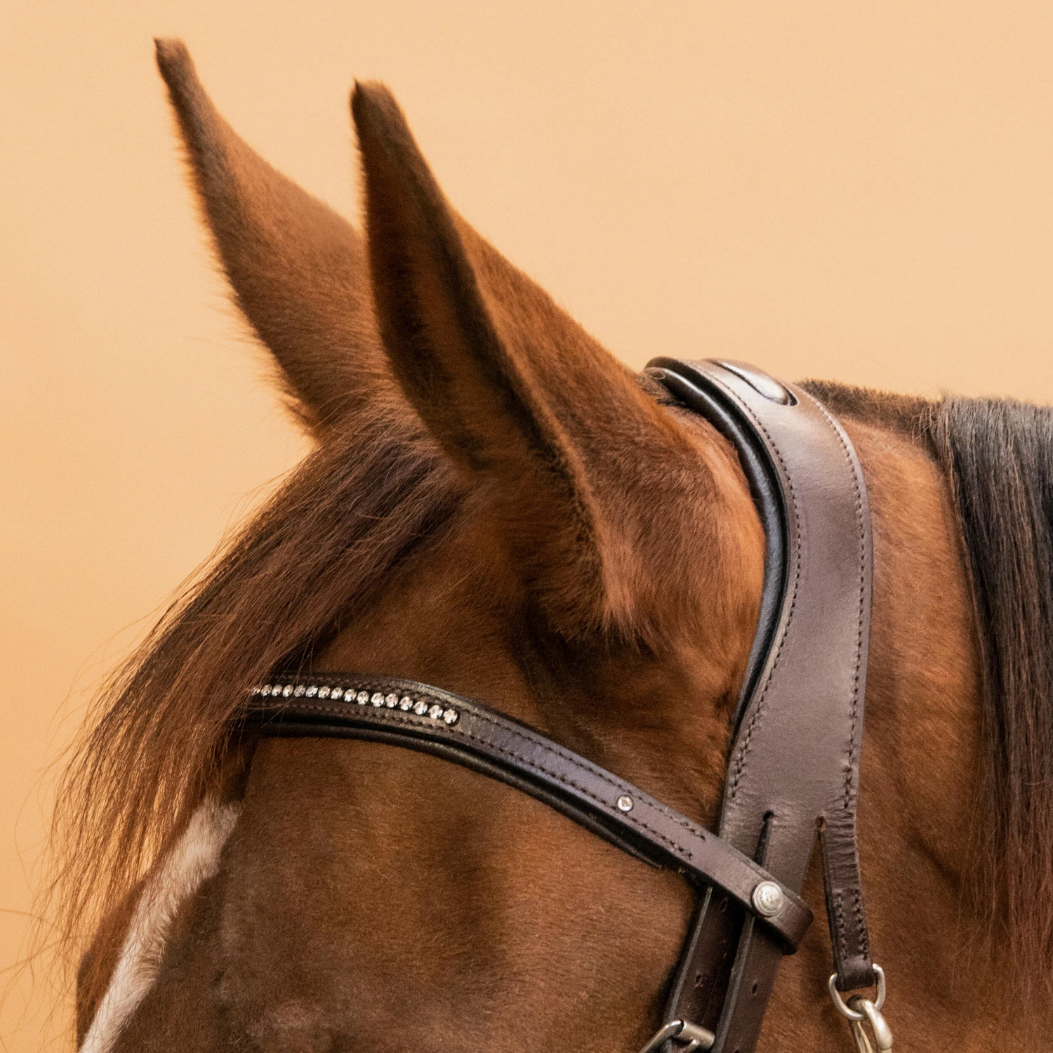 Horse Riding Leather Bridle With French Noseband 580 12 Horse Riding Leather Bridle With French Noseband 580 - Image 12