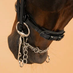 Horse & Pony Dressage Double Bridle 900 -Horse Riding Equipment Store kea6017019b20af31f963b3bb5caccf6b