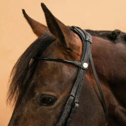 Horse & Pony Dressage Double Bridle 900 -Horse Riding Equipment Store kea6b7f7557744f4bf4006f398e141884