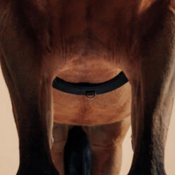 Horse Riding Horse Or Pony Lunging Roller -Horse Riding Equipment Store keaf4d99e3c0ec99aca6dc417e27b02d7