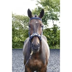 JOHN WHITAKER LUNGE CAVESSON -Horse Riding Equipment Store kf07e86832612435e597f235df782783e
