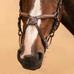 Horse Riding Crossed-Noseband Leather Bridle For Horse And Pony 580 30 Horse Riding Crossed-Noseband Leather Bridle For Horse And Pony 580 -Horse Riding Equipment Store kf1c49f26410d76a5cb44fd4c7bcc6c0a