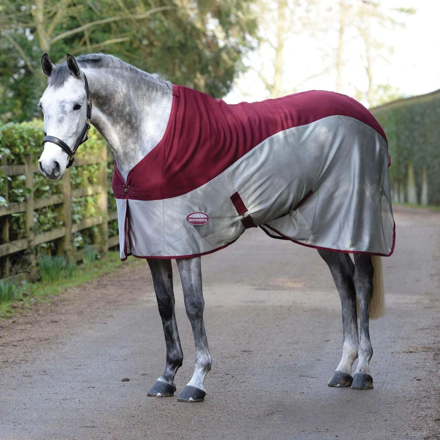 Weatherbeeta MicroAir StandardNeck Horse Cooler Rug (Burgundy/Grey) 2 Weatherbeeta MicroAir StandardNeck Horse Cooler Rug (Burgundy/Grey) - Image 2