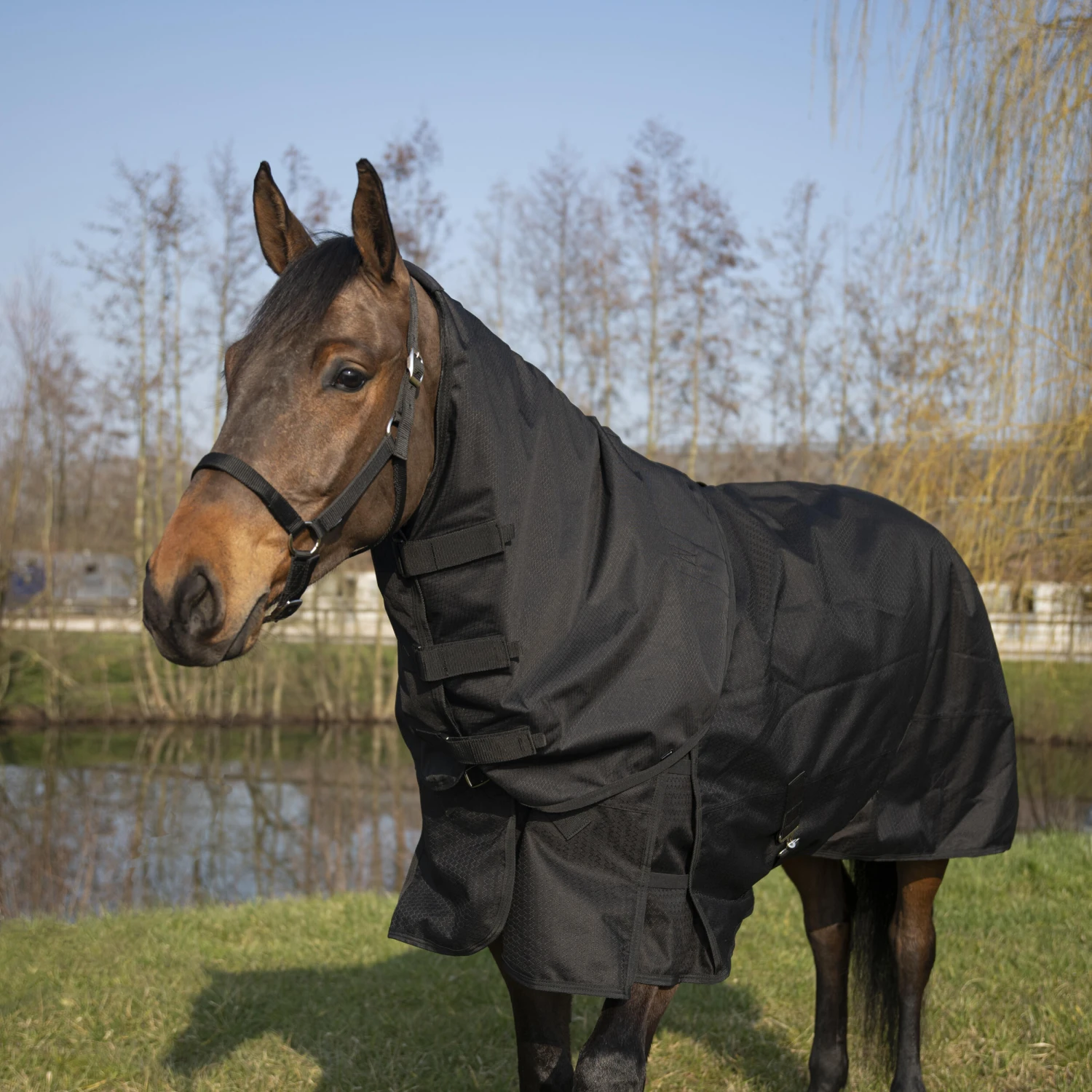 Horse Riding Waterproof Neck Cover Allweather Light 2 Horse Riding Waterproof Neck Cover Allweather Light - Image 2