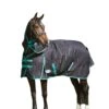 Weatherbeeta GreenTec Detachable Neck Midweight Horse Turnout Rug (Black/Bottle Green)