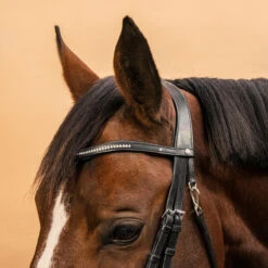 Horse Riding Crossed-Noseband Leather Bridle For Horse And Pony 580 19 Horse Riding Crossed-Noseband Leather Bridle For Horse And Pony 580 -Horse Riding Equipment Store kfac4c80512ac0a22cf0fbd2e60ebffd0