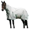 Weatherbeeta GreenTec Plus Combo Neck Lightweight Horse Turnout Rug (Light Grey/Bottle Green)